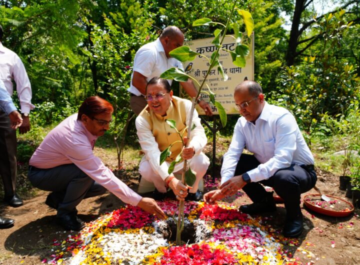 मुख्यमंत्री धामी ने 3-बी गार्डन का किया शुभारंभ,